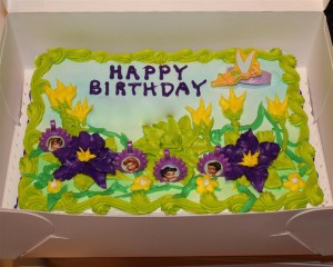 B-Day Cake (Medium)