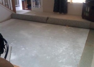 New Carpeting (Medium)