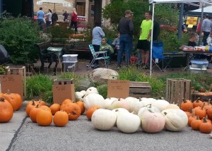 Farmer's Market 2 (Medium)