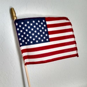 US Flag 2016 (Medium)